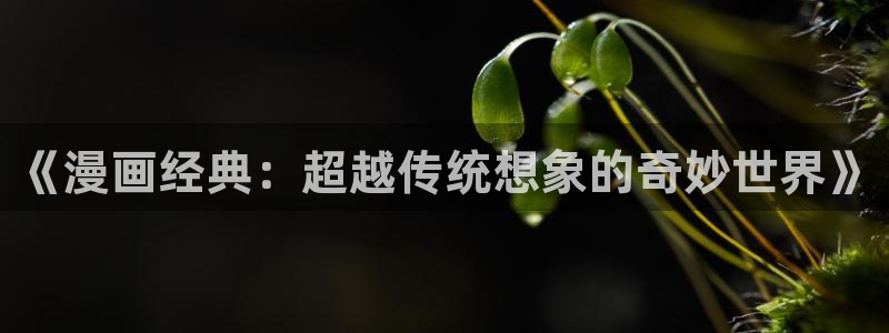 包子漫画免费漫画入口页面彩虹