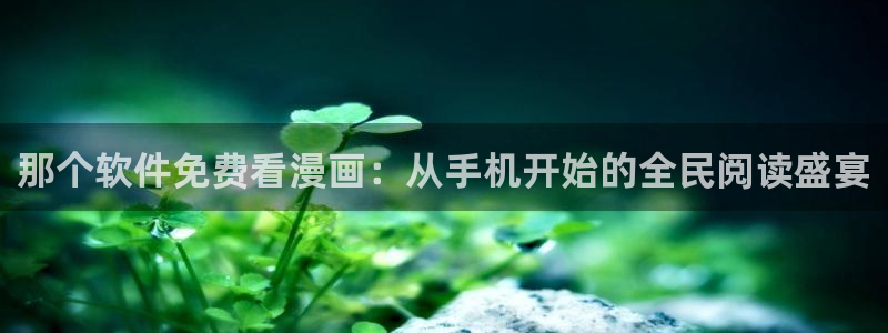排球少年漫画包子漫画在线观看